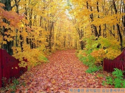  재산출연받은 공익법인의 의무불이행에 따른 가산세[공익법인 재산출연 관련 가산세]