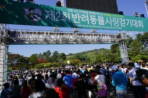  시바견 아리+호랑ㅣ반려동물사랑걷기대회 참가
