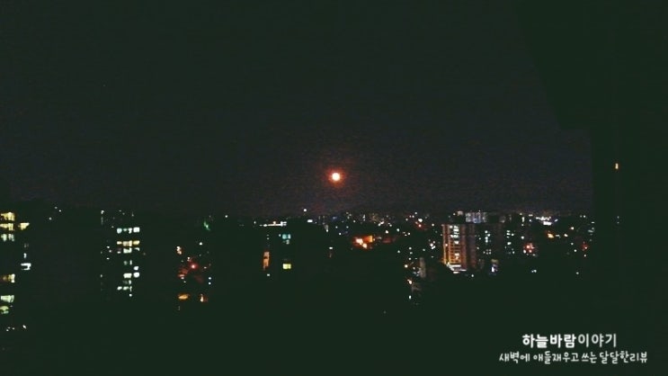  연애의 발견
