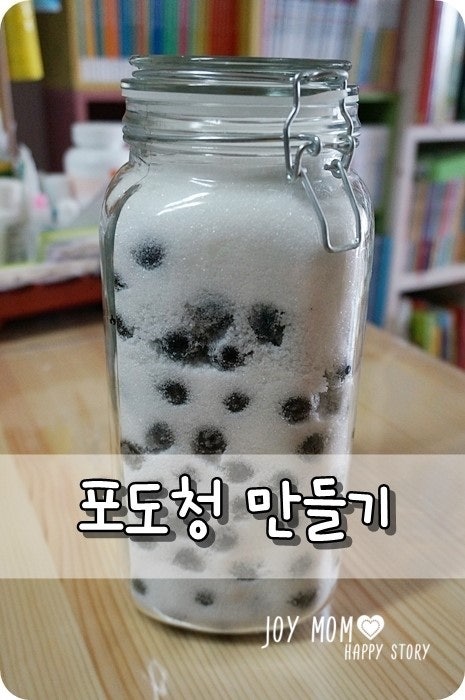 포도청 만들기 (포도활용법)
