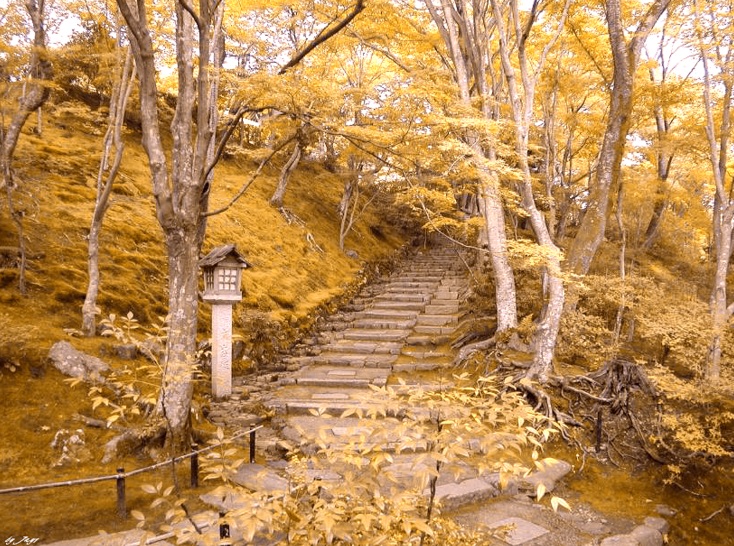  석촌호수의 가을