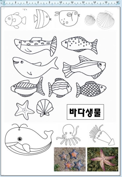 귀여운 바다생물 색칠공부