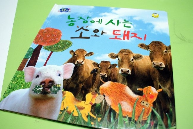 블로그 후기 사진