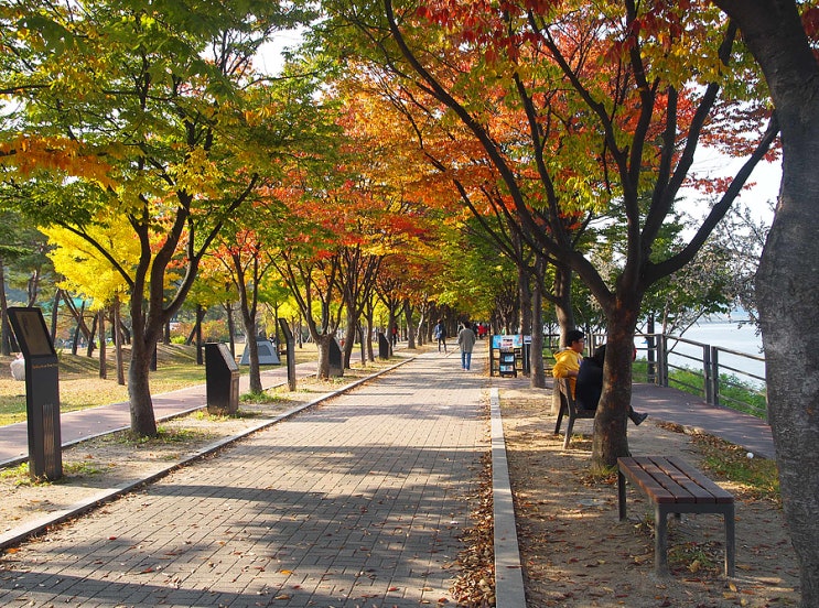  춘천여행, 춘천 명물 닭갈비, 황금비늘 테마거리, 춘천상상마당