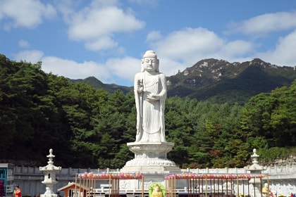 동화사 통일약사대불 : 네이버 블로그