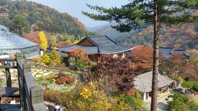 주말에 다녀온 <가평 - 아침고요수목원>