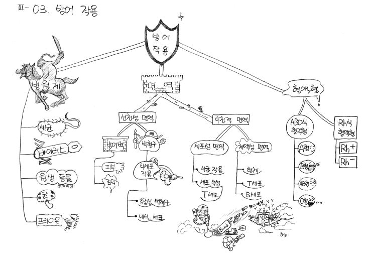 작년 생명과학 교재용 마인드맵 샘플