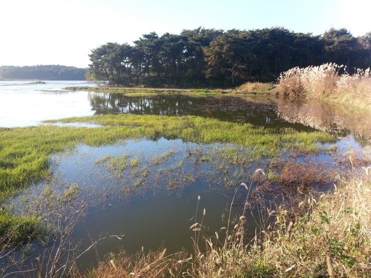 예전 저수지를 담다