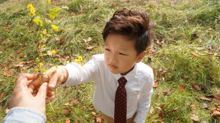  스냅촬영