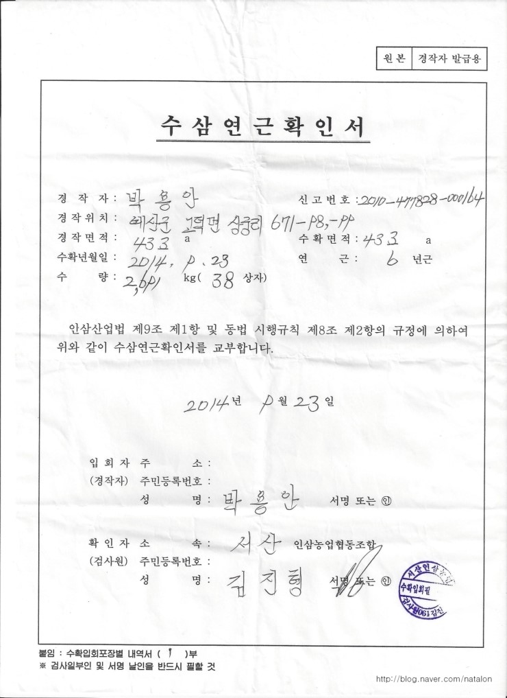  용안인삼 2014년 6년근 연근확인서 입니다.