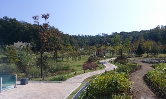 혈압약 만 먹으면 고혈압치료 끝인가