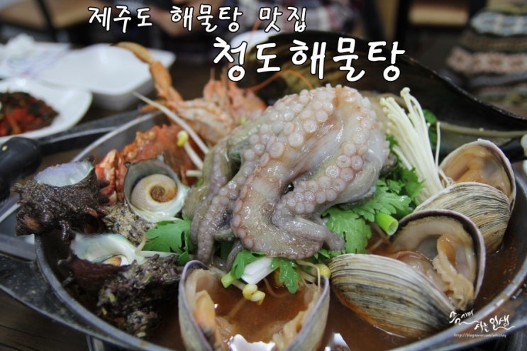  [제주도 맛집] 제주해물탕 맛집 청도해물탕