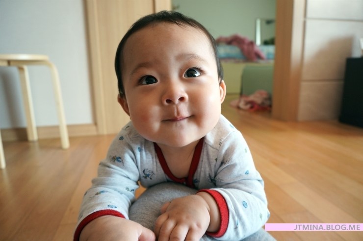  +247) 먹부림, 층간소음, 탐험의 아이콘