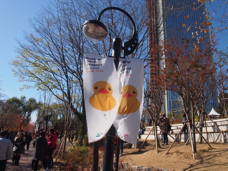  러버덕 촬영(5pic)