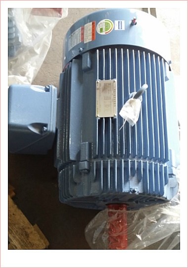  37KW 4P 380V 60HZ_HS20LSR207_200L