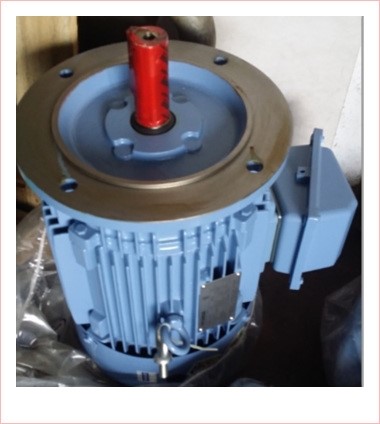  11KW(15HP) 4P 380V VERICAL MOTOR(FLANGE MOTOR),HS163FR207