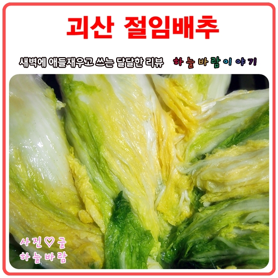  괴산절임배추 20kg 파는곳 :: 김장의 시기가 도래했노라~