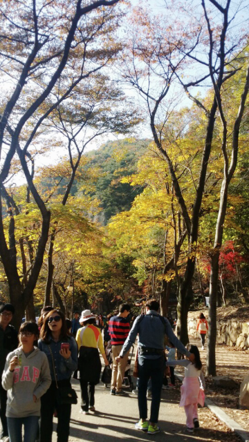  대전 동학사 
