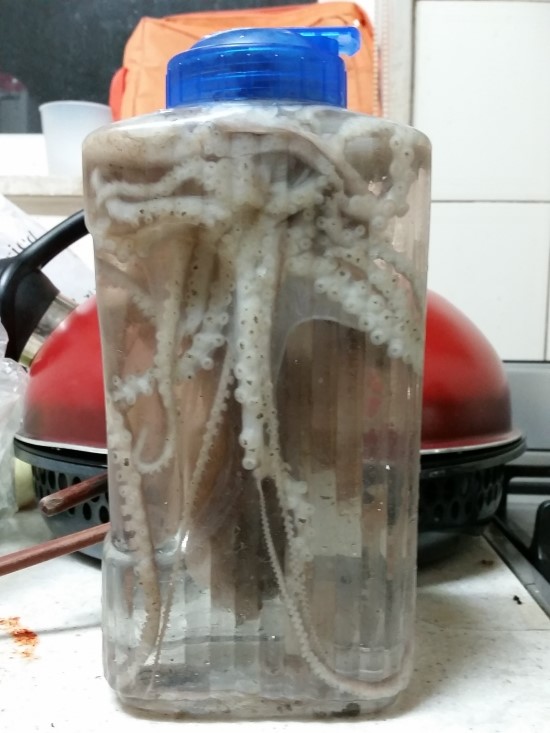  영흥 낙지 해루 2