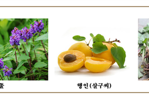 천조식품 이미지