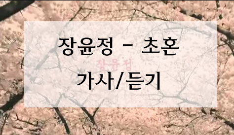 장윤정 - 초혼 뮤비/가사