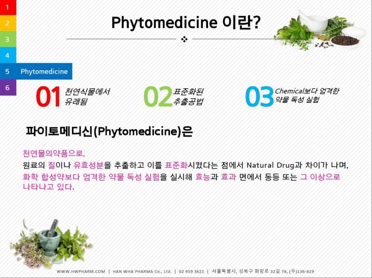 파이토메디신(phytomedicine)이란?