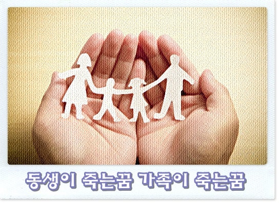 동생이 죽는꿈 가족이 죽는꿈 꾸신 분 있으신가요?
