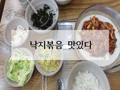  매운낙지볶음 또 먹고싶다.
