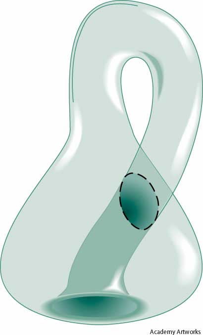 클라인의 병(클라인의 항아리,Klein bottle) : 네이버 블로그