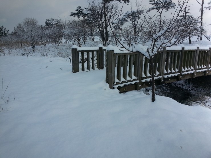 내가 사는 이곳이 겨울왕국 내가 사는 이곳이 겨울왕국