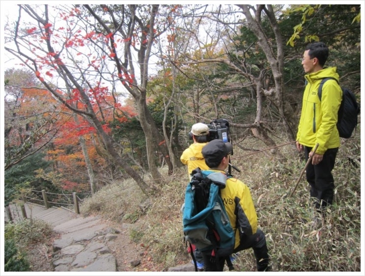 한라산 가을단풍 속으로 (4) TV 전파를 타는 절정의 한라산 단풍 한라산 가을단풍 속으로 (4) TV 전파를 타는 절정의 한라산 단풍