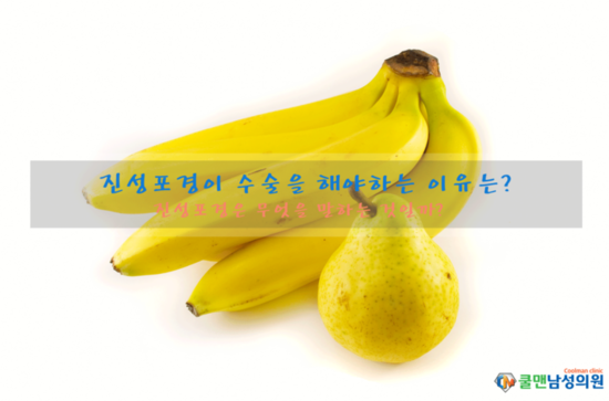  (강동구 포경수술/천호 포경수술) 진성포경이 수술을 해야하는 이유는?   -  암사동포경수술/길동포경수술/둔촌동포경수술/명일동포경수술/구리포경수술/남양주포경수술/중랑구포경수술/하남포경수술/성남포경수술/광진구포경수술/송파구포경수술/강남포경수술/가평포경수술/포천포경수술/강원도포경수술/경기도포경수술