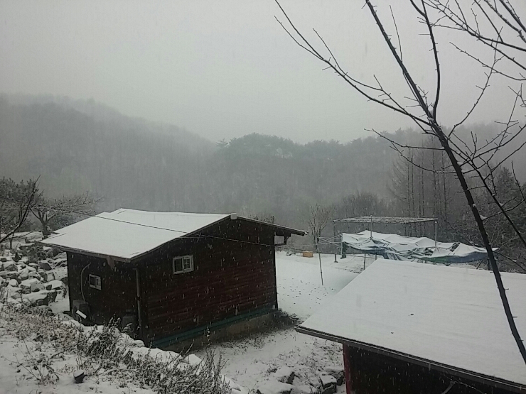 산골짜기에 함박눈이 내린다.