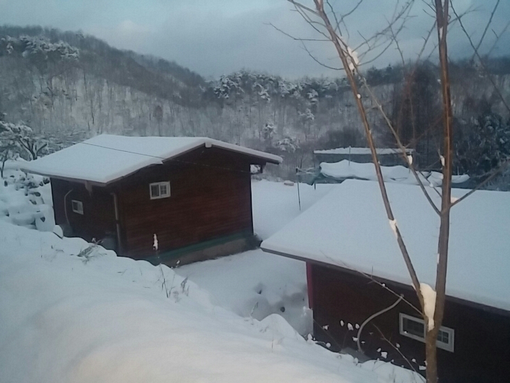 산골짜기에는 아직도 눈이 내린다.