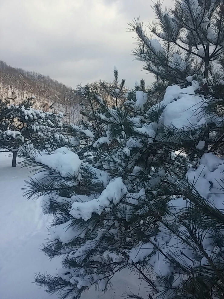 눈치우기