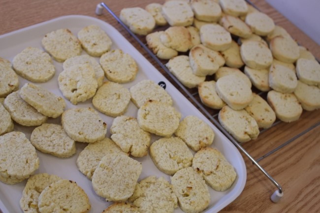 100%유기농 제주레몬청 관련 알림사항입니다.