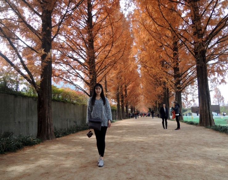  담양여행 - 광주근교갈만한곳, 담양추월산 산책, 담양드라이브 , 담양숲속의호수펜션, 담양 메타쉐콰이어길