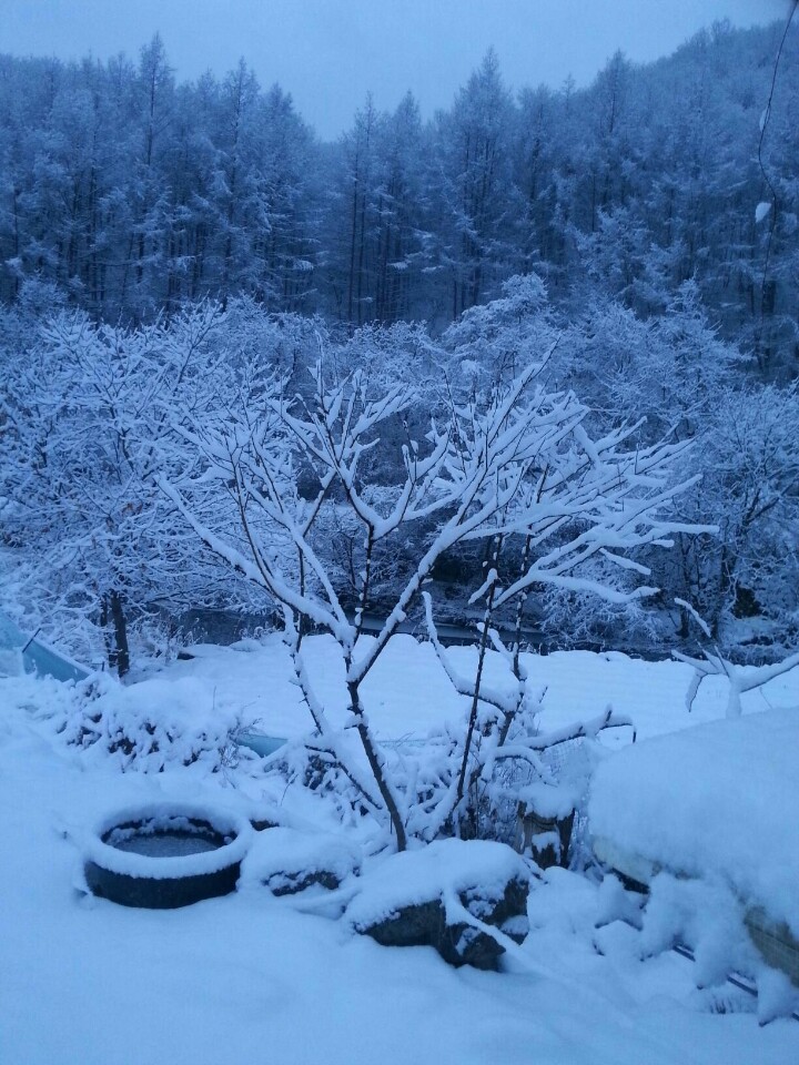  雪山에서~