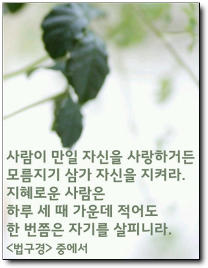  분당구(이매동/정자동/수내동) 디지털도어락 디지털도어록
