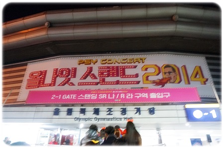   20141224 싸이콘서트 올나잇스탠드