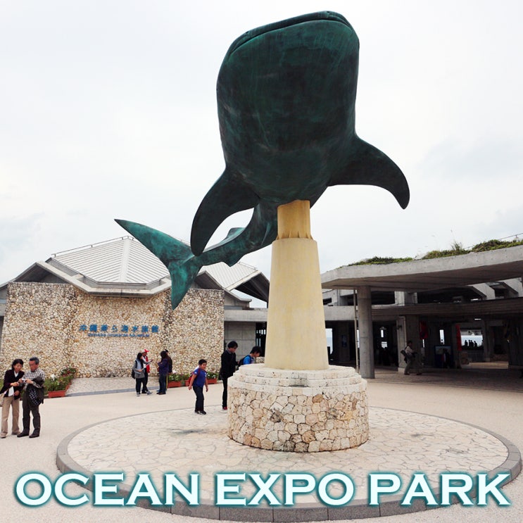 오키나와 여행의 하이라이트 국립 카이요하쿠코엔~ 해양엑스포공원 츄라우미수족관 : 오키나와여행