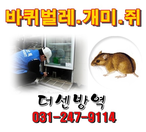  수원방역업체 바퀴벌레 개미 쥐 잘잡는  더센방역 수원소독업체 입니다. 