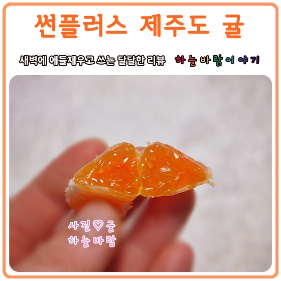 제주도귤 직거래 :: 귤10Kg 귤한박스 직거래로 주문하세요.