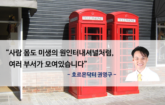  사람 몸도 미생의 원인터내셔널처럼, 여러 부서가 모여있습니다 [호르몬 사당동 한의원]