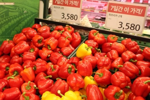  12월 30일 금값인 파프리카 가격