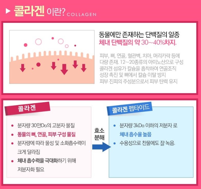 콜라겐 효능 저분자콜라겐 효능 오해