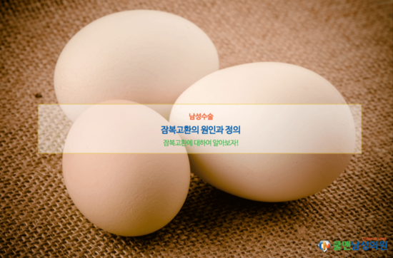  (강동구 비뇨기과/천호 비뇨기과/송파구 비뇨기과) 잠복고환의 원인과 정의