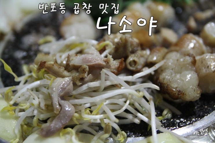  [반포동곱창] 서래마을 곱창 맛집 나소야