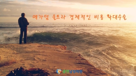  저렴한 비용 메가덤울트라 대체진피 확대수술