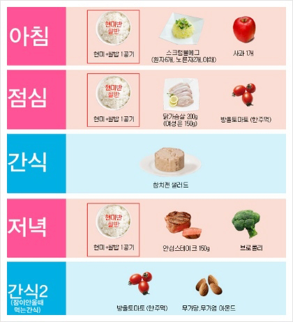 숀리 다이어트 식단 식단이가장 중요해 네이버 블로그